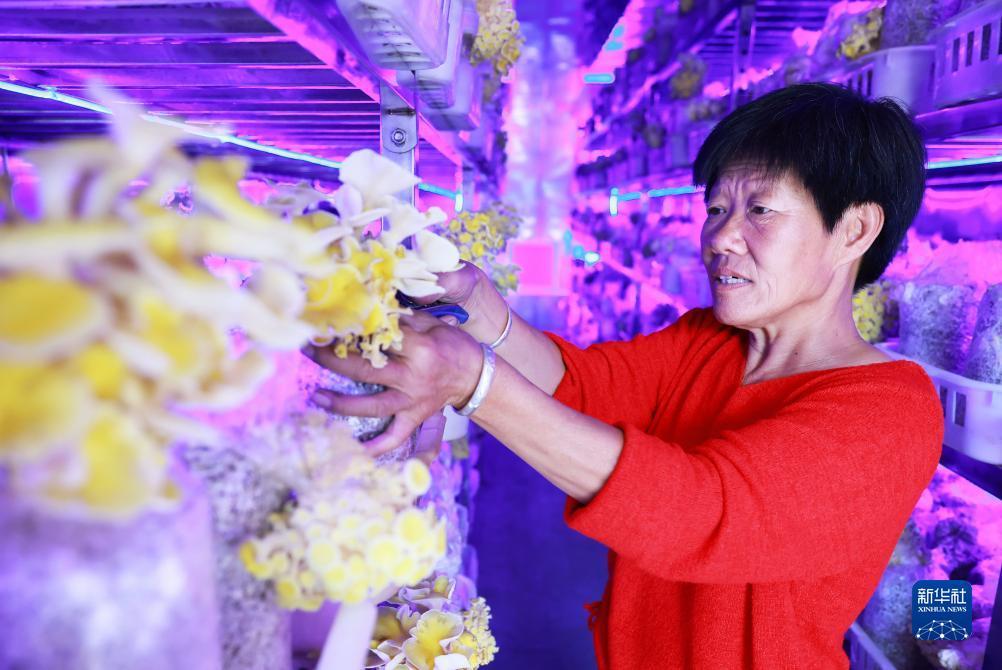 乐游平台官网下载